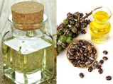 Health Benefits of Castor Oil :ఆముదం నూనెలో అందంతో.. ఆరోగ్య ప్రయోజనాలున్నాయని తెలుసా...