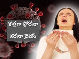 What is florona:కొత్తగా‘ఫ్లోరోనా’కలకలం.. ఇది ఒమిక్రాన్ కన్నా ప్రమాదమా? దీని లక్షణాలేంటి?