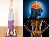 Sirsasana Benefits: ఆసనాల్లో రాజు శీర్షాసనం..ఈ ఆసనం వల్ల కలిగే ప్రయోజనాలు ఇవే..