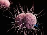 Gonorrhea: గనేరియా వ్యాధి వస్తే తగ్గదా? అసలేంటీ ఇన్ఫెక్షన్?
