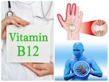 Vitamin B12-Rich Foods: గుండె & నరాల సమస్యల ప్రమాదాన్ని నివారించాలంటే... 'ఈ' ఆహారాలు తింటే చాలు!