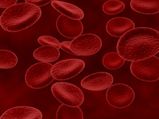 Hemophilia: రక్తం గడ్డకట్టకపోతే ఎంత ప్రమాదమో తెలుసా? హిమోఫిలియా అంటే ఏంటంటే..