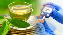 డయాబెటిస్‌కు ‘జామ ఆకు టీ’ తో పరిష్కారం
