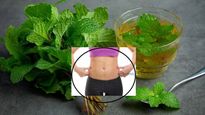 Peppermint Tea for Weight Loss: పొట్ట కొవ్వు తగ్గడానికి పిప్పరమెంటు టీ తాగండి, కొవ్వు వెన్నలా కరిగిపోతుంది