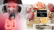 vitamin b12 deficiency : శరీరంలో విటమిన్ B12 తగ్గితే? ఇది మీ శరీరంలో ఎలాంటి ప్రమాదాలను కలిగిస్తుందో తెలుసా?