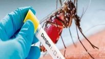 National Dengue Day: జాతీయ డెంగ్యూ దినోత్సవం: ఆరోగ్య శాఖ సూచనలు, నివారణా చర్యలు..!