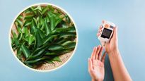 How Curry Leaves For Diabetes: కరివేపాకును ఇలా తింటే... రక్తంలో చక్కెర స్థాయి 100% తగ్గుతుంది!