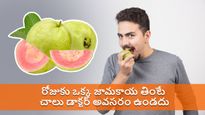 రోజుకి ఒక్క జామకాయ తింటే చాలు..ఈ ప్రమాదకరమైన ఆరోగ్య సమస్యలను దూరం చేస్తుంది!