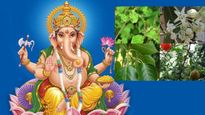 Ganesh Chaturthi 2023: వినాయక చవితి రోజున, గణేషుడుని 21 రకాల ఆకులతో ఎందుకు పూజిస్తారు?