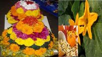 Bathukamma 2023:బతుకమ్మ గుమ్మడి పువ్వులో ఆశ్చర్యపరిచే అద్భతు ఔషధ గుణాలెన్నో..ఎన్నో వ్యాధులను నయం చేస్తుంది
