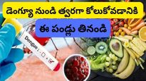 డెంగ్యూ నుండి త్వరగా కోలుకోవాలంటే రోజూ ఈ పండు ఒకటి తింటే చాలు!!