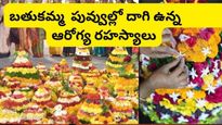 Bathukamma Flowers: బతుకమ్మ పూలలో దాగి ఉన్న ఔషద గుణాలు & ఆరోగ్య రహస్యాలు..