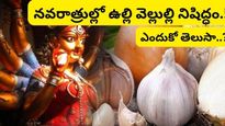 Navratri:రాహు కేతువులతో ఉల్లి-వెల్లుల్లి సంబంధం ఏంటి?నవరాత్రులలో ఉల్లి వెల్లుల్లి ఎందుకు తినకూడదు?