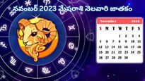 Mesha Rasi(Aries) Monthly Horoscope November 2023: మేష రాశి వారికి ఆదాయం పెరుగుతుంది కానీ ఆరోగ్యం పట్ల శ్రద్ధ