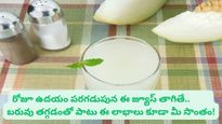 Ash Gourd Juice: బూడిద గుమ్మడికాయ రసాన్ని రోజూ తాగితే బరువు తగ్గడంతో పాటు ఈ 5 లాభాలు కూడా మీ సొంతం..