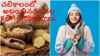 Ginger Health Benefits in Winter: శీతాకాలపు ఈ 6 సమస్యలకు అల్లం దివ్యౌషధం, దీన్ని ఎలా తీసుకోవాలో తెలుసుకోండి