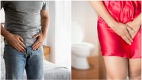మూత్రవిసర్జన చేసేటప్పుడు మంట లేదా నొప్పిగా ఉందా?ఐతే మీ ఈ అవయవం ప్రమాదంలో పడిందని.!