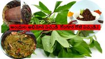 Gongura Pachadi : రుచికరమైన నోరూరించే గోంగూర రోటి పచ్చడి.! ఇలా చేసి తింటే ఎప్పటికీ వదులుకోరు..