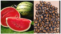 Watermelon Seeds: మగవారిలో సెక్స్ పవర్ పెంచడానికి, వీర్యకణాల ఉత్పత్తికి పుచ్చకాయ ఎలా తినాలి?ఎప్పుడు తినాలి?