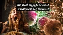 Cancer Causing Foods : ఇవి తింటే క్యాన్సర్ డేంజర్..! పరిశోధనలో పచ్చి నిజాలు..!
