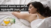 Sleep Inducing Foods : పడుకునే ముందు ఇవి తాగితే.. నిద్రమత్తులోకి వెళ్లాల్సిందే..!