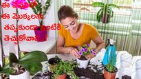 ఈ వేసవిలో ఈ మొక్కలను తప్పకుండా ఇంటికి తెచ్చుకోవాలి..!