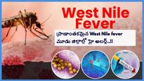 ప్రాణాంతకమైన West Nile fever మూడు జిల్లాల్లో హై అలర్ట్, ఈ ప్రమాదకరమైన వ్యాధి లక్షణాలు మరియు నివారణ చర్యలు..