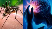 డెంగ్యూ మెదడు మరియు నాడీ వ్యవస్థపై తీవ్ర ప్రభావం చూపుతుందా? ఎలాగో తెలుసా?