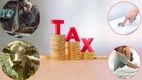 Weird Taxes: ప్రపంచవ్యాప్తంగా ఉన్న విచిత్రమైన పన్నులు గడ్డం, బ్యాచిలర్స్ మరియు శృంగారంపై పన్నులు!!