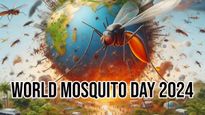 World Mosquito Day 2024 దోమలు వ్యాధులను ఎలా వ్యాప్తి చేస్తాయి, నివారణ, చరిత్ర , ప్రాముఖ్యత