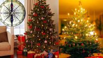 Christmas tree vastu: క్రిస్మస్ చెట్టుని ఇంట్లో అక్కడ పెడితే కష్టాలు!..ఎక్కడ ఉంచాలో చూడండి