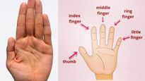 Palmistry: అరచేతిలో ఈ రేఖ ఉంటే మీ ప్రేమ ఫెయిల్!..మీకు ఉందో లేదో చూసుకోండి