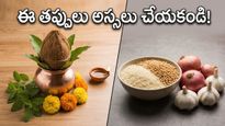 మోహినీ ఏకాదశి వ్రతం చేస్తున్నారా? మీరు తెలియక చేసే ఈ చిన్న తప్పులే ఫలితాన్ని దూరం చేస్తున్నాయా?