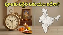 నరసింహ జయంతి: స్వామివారి అనుగ్రహం పొందాలంటే ఈ సమయంలోనే పూజ చేయాలా? ఆసక్తికర విషయాలివే