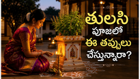 తులసి పూజలో తెలుగువారికి తెలియని 5 ముఖ్యమైన నియమాలు.. ఇవి పాటిస్తే ఇంటికి శుభం