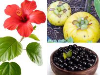 തടി കുറയ്ക്കും പ്രകൃതിദത്ത മരുന്നുകള്‍