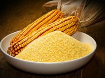 അടുക്കളയിലെ കീടങ്ങളെ അകറ്റാന്‍ 