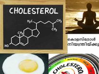 കൊളസ്‌ട്രോള്‍ നിങ്ങള്‍ക്കു തന്നെ നിയന്ത്രിയ്ക്കാം