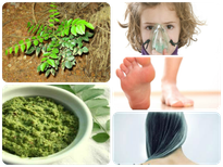 കറിവേപ്പില കളയുന്നതിനുമുന്‍പ്..