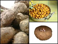 ചൊറിയന്‍ ചേനയ്ക്കുമുണ്ട് ഗുണങ്ങള്‍..