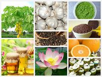 രോഗങ്ങള്‍ക്ക് ചില നാടന്‍ മരുന്നുകള്‍
