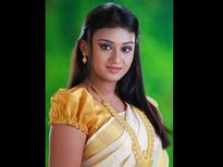 കല്യാണപ്പെണ്ണിന്റെ മുടിയല്ലേ....