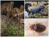 ഇതും നമ്മള്‍ നാളെ കഴിക്കേണ്ടിവരും....