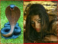 നമ്മുടെ സ്വപ്നങ്ങളില്‍ ഇഴയുന്ന നാഗങ്ങള്‍