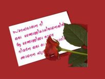 അറിഞ്ഞോ വാലന്റൈന്‍സ് വീക്കിന് തുടക്കമായി