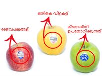 പഴങ്ങളിലെ സ്റ്റിക്കർകോഡില്‍ ഒളിഞ്ഞിരിക്കുന്നരഹസ്യം