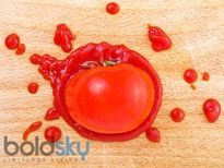 ഈ നൂറ്റാണ്ടിലെ വിലക്കപ്പെട്ട കനികള്‍