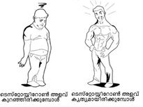 ടെസ്‌റ്റോസ്റ്റിറോണ്‍  ആണിന്‌ പണി തരും, സൂക്ഷിക്കുക