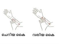 നിങ്ങളുടെ കൈയ്യിന്റെ വലിപ്പം പറയുന്നതെന്ത്?