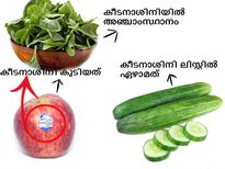 കീടനാശിനി അടങ്ങിയിട്ടുണ്ടോ, തിരിച്ചറിയാം...